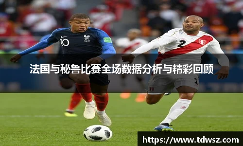 法国与秘鲁比赛全场数据分析与精彩回顾